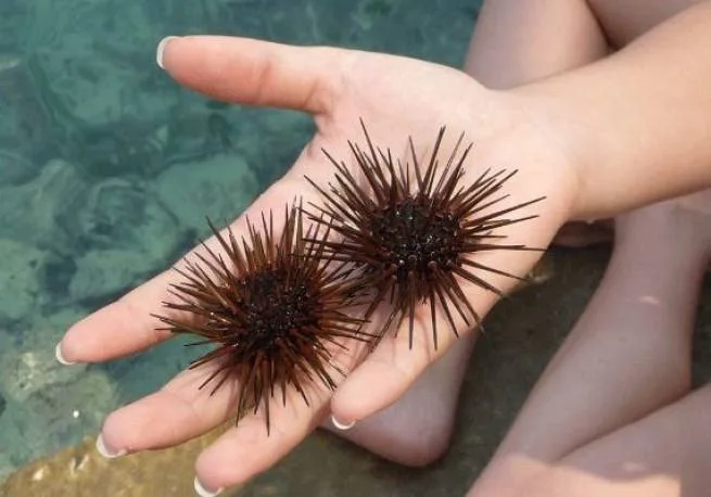 ΚΑΜΠΑΝΑ ΕΩΣ ΚΑΙ 4.000 ΕΥΡΩ ΓΙΑ ΟΠΟΙΟΝ «ΒΓΑΖΕΙ» ΑΧΙΝΟΥΣ