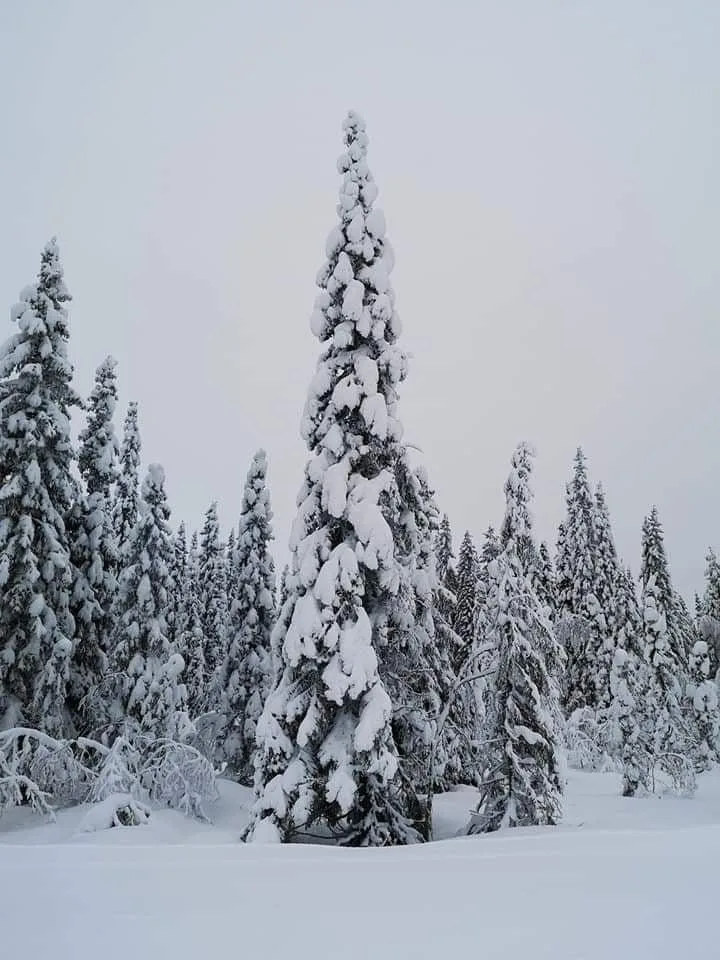 Χιονισμένες εικόνες από Γαλλία 29-12-2020