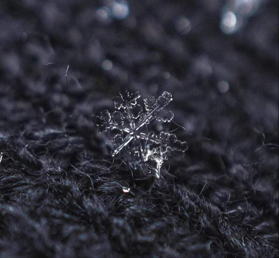 Απίστευτη εικόνα χιονονιφάδας